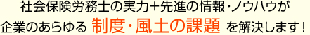 社会保険労務士の実力＋先進の情報・ノウハウが企業のあらゆる 制度・風土の課題 を解決します！